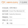 绿茶原精GX Camellia Sinensis 产地直采批发 商品缩略图2