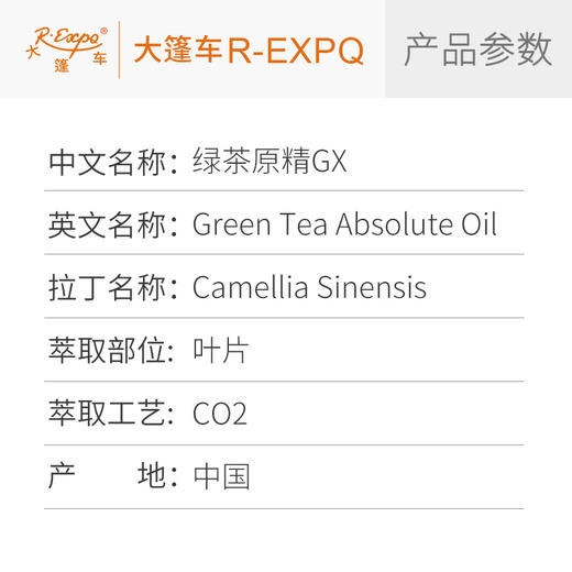 绿茶原精GX Camellia Sinensis 产地直采批发 商品图2