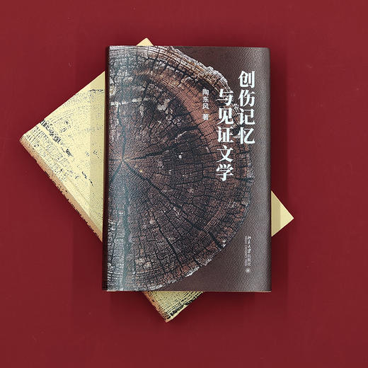 创伤记忆与见证文学 陶东风 著 北京大学出版社 商品图2