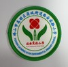 通版佛山市高明区荷城街道西安实验小学包边校徽服可缝烫现货发51 商品缩略图0