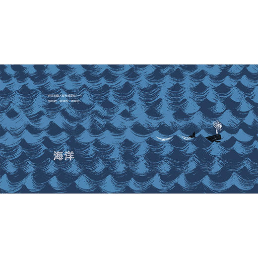 你好，无处不在的水  （美）安托瓦内特·波蒂斯/著 （4岁及以上） 轻科普绘本 百科 自然 低幼启蒙 魔法象 广西师范大学出版社 商品图3