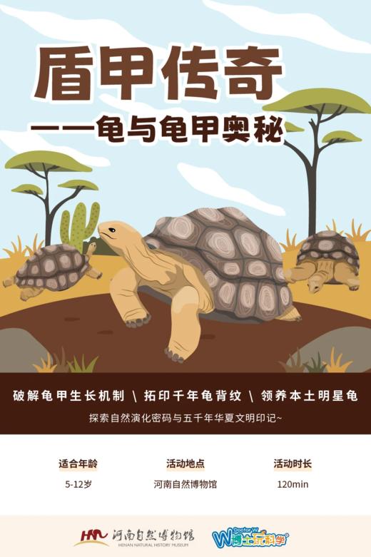 豫自博研学【盾甲传奇】探秘龟甲生长密码+拓印千年纹样，带走你的中华草龟伙伴！ 商品图0