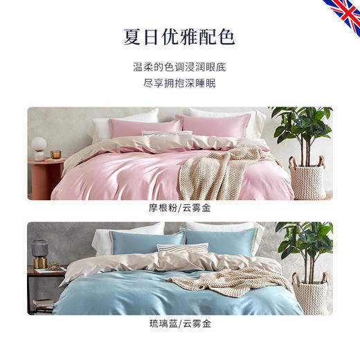 【特价秒杀】英国DownlandWhisper密语纯棉四件套 商品图3