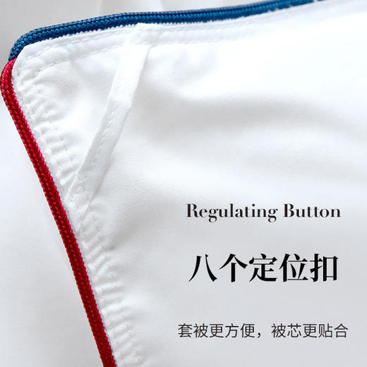 英国Downland轻盈白鹅绒被秋冬羽绒被子 商品图3