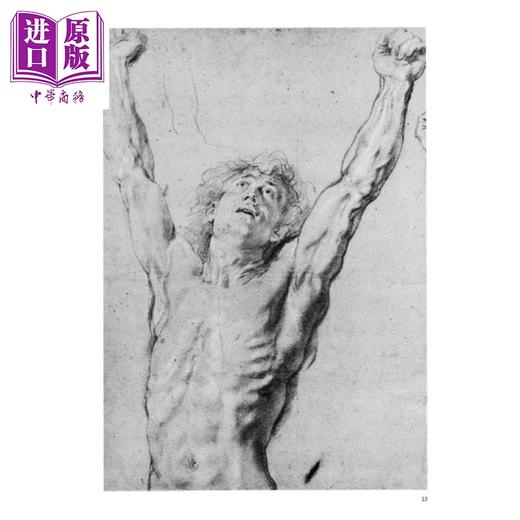 【中商原版】大师艺术解剖学 港台艺术原版 Terence Coyle 易博士出版社 商品图4