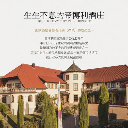 【QBA级莱茵黑森】德国帝博利雷司令经典干白葡萄酒  单一雷司令的纯粹口感 12%vol 商品图6