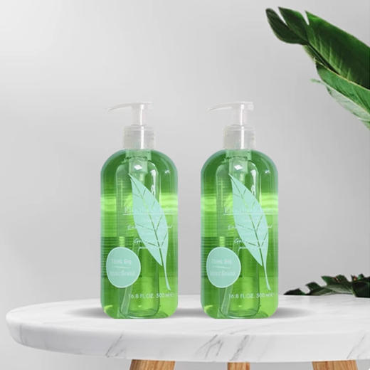 伊丽莎白雅顿 深层清洁滋润 绿茶沐浴露 500ml 商品图0