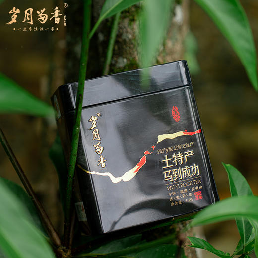 岁月留香-土特产马到成功肉桂·挂耳茶 50g 商品图11