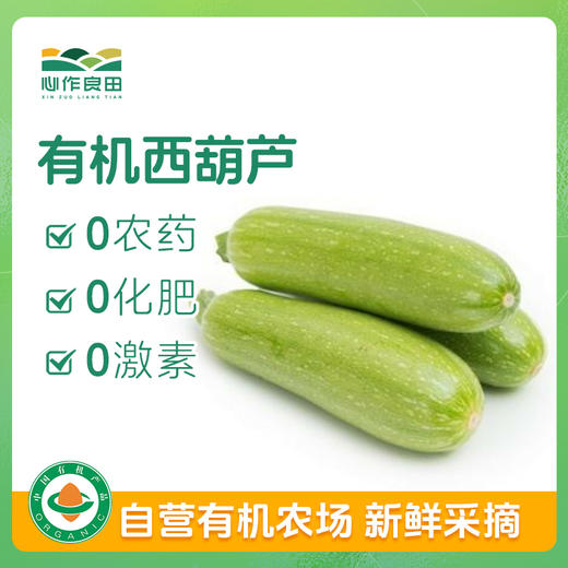 有机西葫芦300g 商品图0