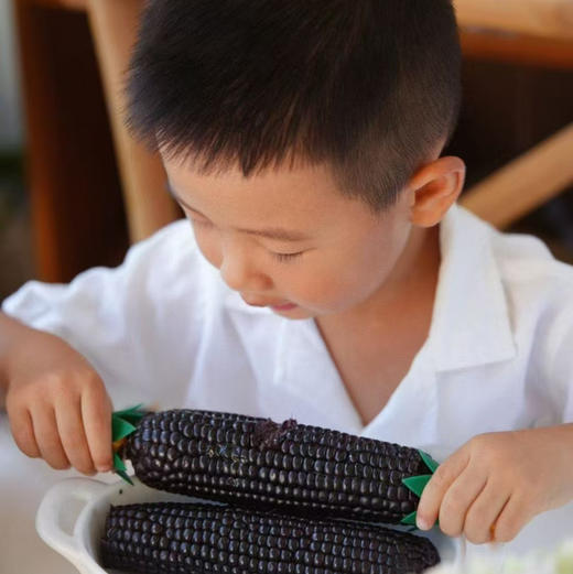 【黑龙江｜黑金时刻玉米】
个头均匀、颗粒饱满、玉米香气浓郁
独立包装，更好保存
黄金甜糯玉米粘糯香甜
珍稀黑糯玉米脆嫩清甜 商品图3