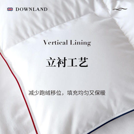 英国Downland轻盈白鹅绒被秋冬羽绒被子 商品图1