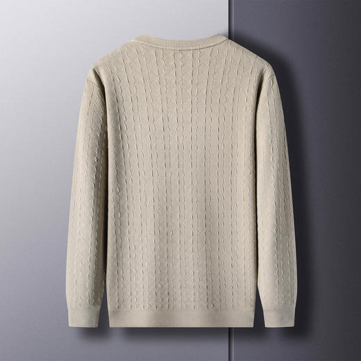 圣得西2025年秋季新款多色提花工艺休闲百搭男士圆领T恤长袖上衣 商品图11