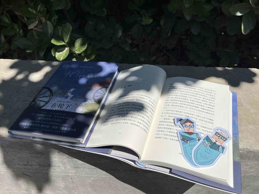 黑塞经典·在轮下：心灵的归宿  （德）赫尔曼·黑塞/著 文学 外国文学 世界文学 经典 名著 哲学 心理 黑塞 在轮下 自我探索  成长 小说 应试教育 青春 反抗权威 广西师范大学出版社 商品图8