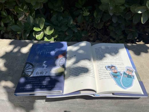 黑塞经典·在轮下：心灵的归宿  （德）赫尔曼·黑塞/著 文学 外国文学 世界文学 经典 名著 哲学 心理 黑塞 在轮下 自我探索  成长 小说 应试教育 青春 反抗权威 广西师范大学出版社 商品图5