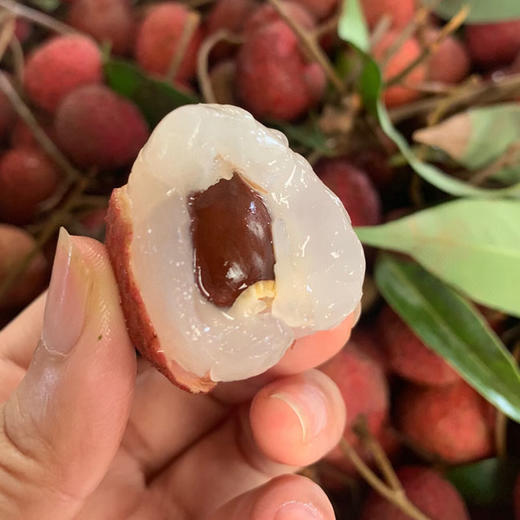 香荔枝4斤（荔枝味纯正浓甜  皮薄肉嫩） 商品图2