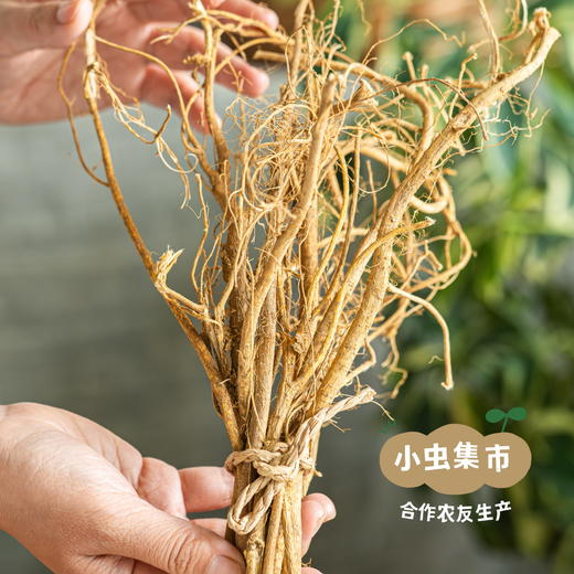 生态鲜五指毛桃 100g | 合作农友生产，来自湖南邵阳，生产者：廖敦祥 *【公平贸易农人定价】 商品图3