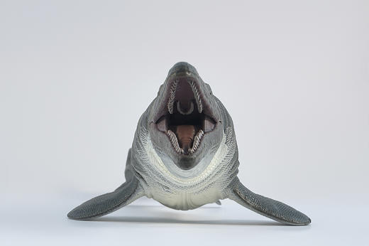 贝林自然世界苍龙PVC塑胶玩具博物馆伴手礼 商品图1