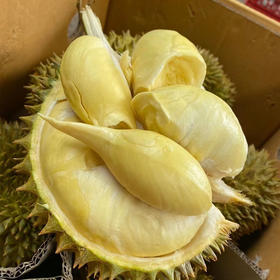 【整果销售】泰国巴掌金枕榴莲500g/份（超重部分补差价）