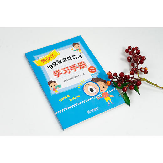 【赠：新旧对照表电子版 联系客服】青少年治安管理处罚法学习手册（漫画故事版） 法律出版社司法实务中心编 法律出版社 商品图3
