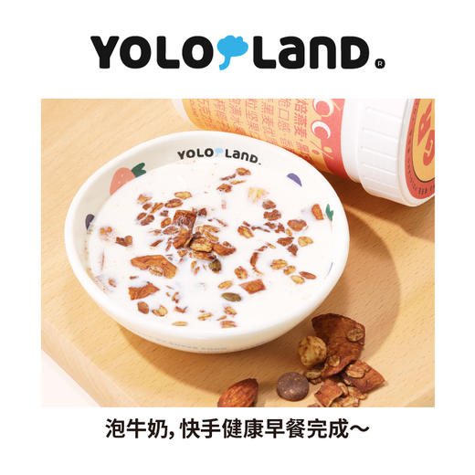 有乐岛/松脆烘焙燕麦/黑巧榛子 大颗粒坚果仁吃得到巧克力豆 商品图3