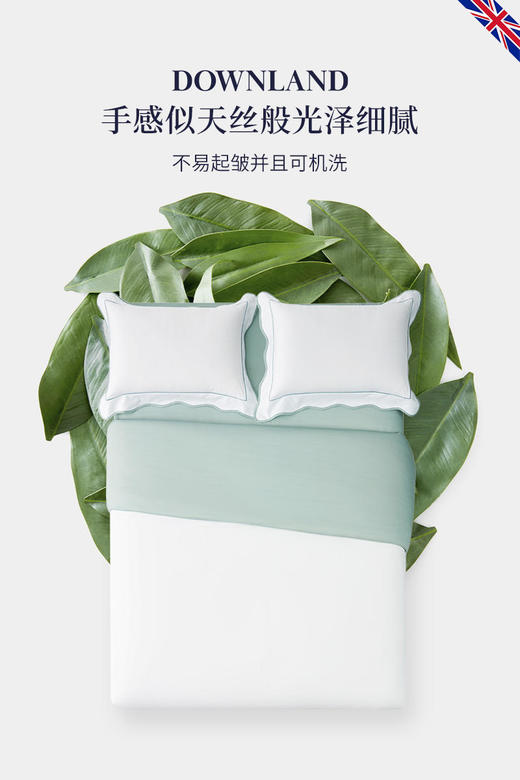 【特价秒杀】英国DownlandEco娜雅森林磨毛四件套 商品图3