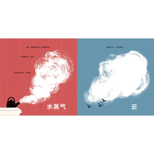 你好，无处不在的水  （美）安托瓦内特·波蒂斯/著 （4岁及以上） 轻科普绘本 百科 自然 低幼启蒙 魔法象 广西师范大学出版社 商品图4