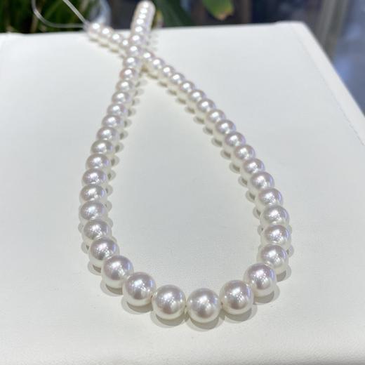 8mm-8.5mmakoya珍珠项链 商品图3