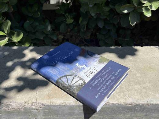 黑塞经典·在轮下：心灵的归宿  （德）赫尔曼·黑塞/著 文学 外国文学 世界文学 经典 名著 哲学 心理 黑塞 在轮下 自我探索  成长 小说 应试教育 青春 反抗权威 广西师范大学出版社 商品图4