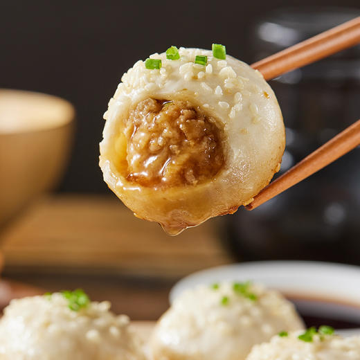 九生堂 组合（爆汁生煎*2+猪肉锅贴*2）1440g 商品图3