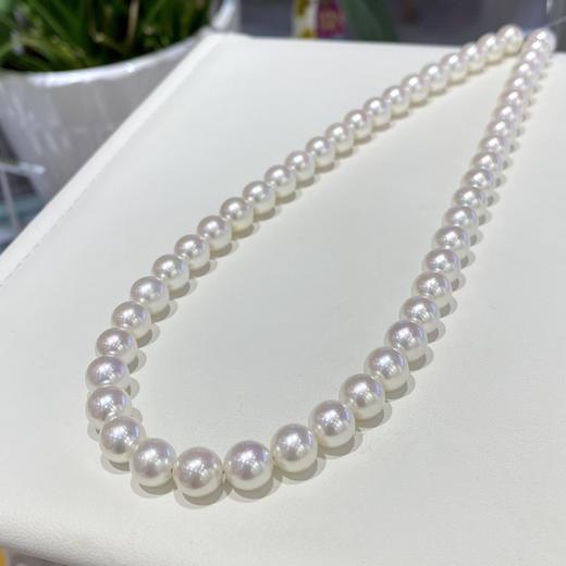 8mm-8.5mmakoya珍珠项链 商品图2