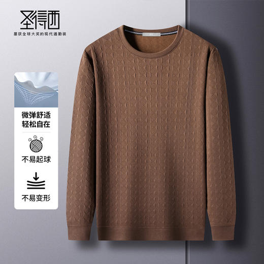 圣得西2025年秋季新款多色提花工艺休闲百搭男士圆领T恤长袖上衣 商品图3