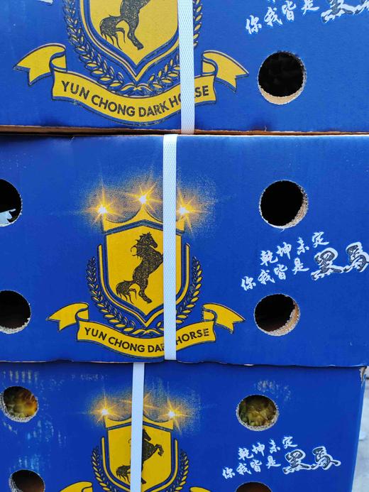 泰国金枕榴莲（黑马） 商品图0