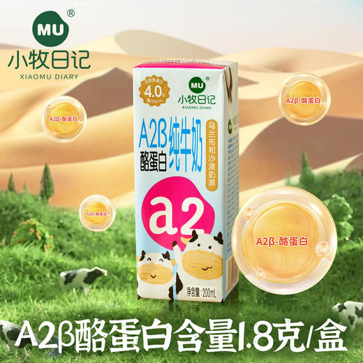 严选 | 小牧日记A2纯牛奶 儿童牛奶 200ml*10盒/箱 1箱/2箱 乌兰布和纯净奶源 营养好吸收 商品图4