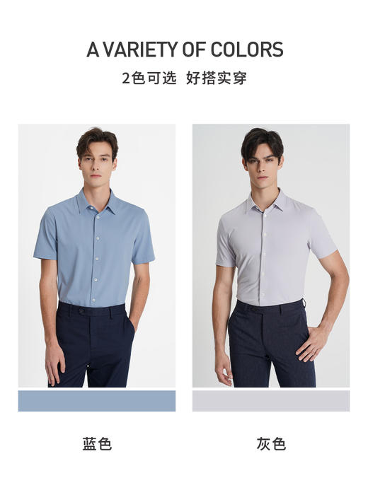 callisto蓝色聚酯纤维短袖衬衫 STSTS068C 商品图1