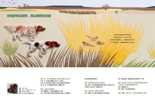 加油，狗狗！ 〔韩〕安胜河/著  职业启蒙 生活科普 创意艺术 日韩绘本  魔法象 广西师范大学出版社 商品图4