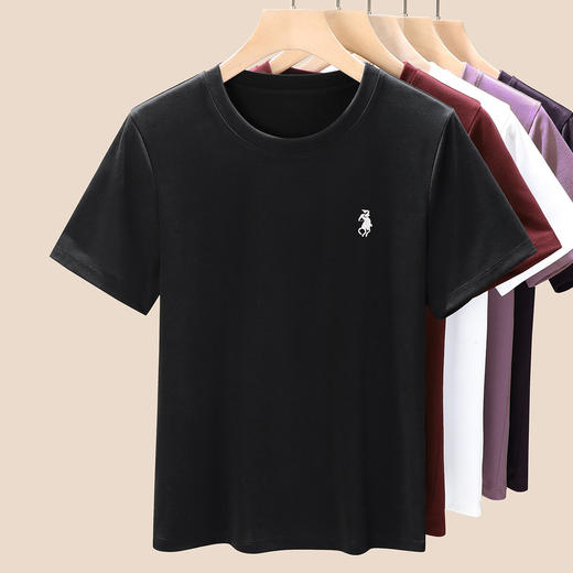 「自」全新升级【铂金会员109/天猫139/差价30】(04350)洛诗琳天丝时尚小马刺绣圆领T恤2025夏季新款莱赛尔短袖上衣 商品图2