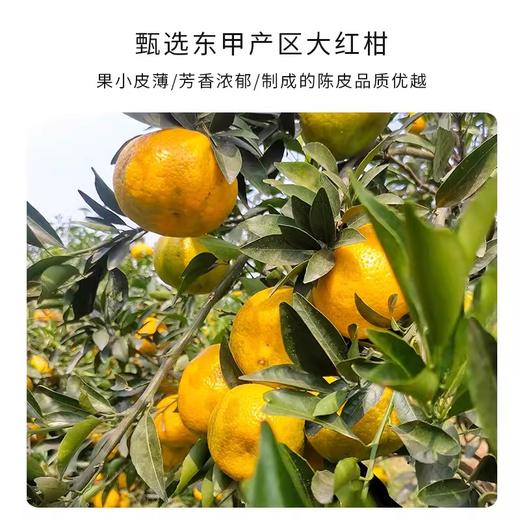 柑天下 新会陈皮干仓道地岁月陈韵5年老陈皮200克礼罐陈皮茶 商品图2