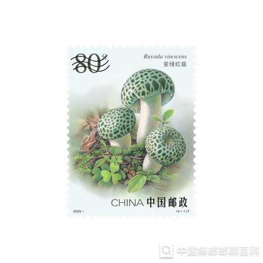 《食用菌（二）》邮票1套4枚 4套 限购1份 商品图1