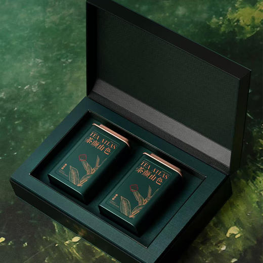 茶颜山色【两方罐  毛尖 深绿色】 30元一套/一箱16套 商品图2