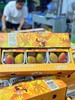 小金凤芒果  香甜多汁 商品缩略图0