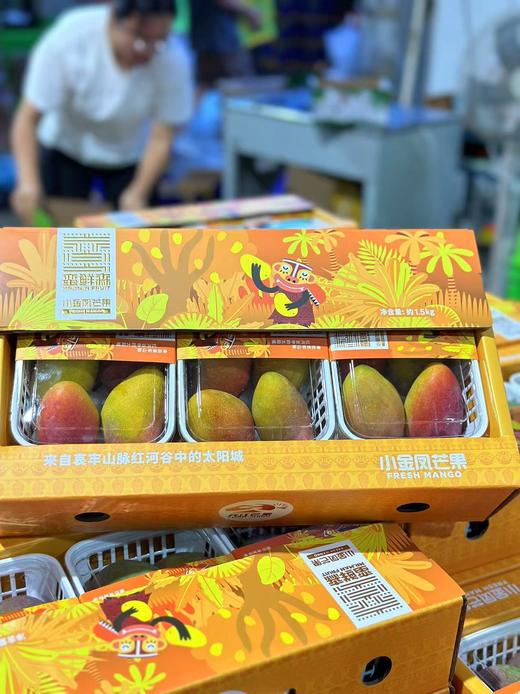 小金凤芒果  香甜多汁 商品图0