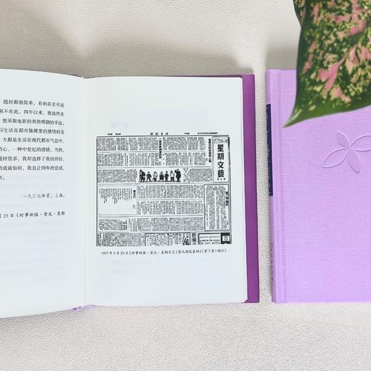 紫丁香 商品图9