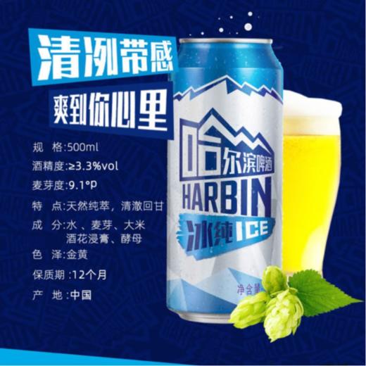 哈尔滨9.1°P冰纯啤酒罐装500ml 商品图5