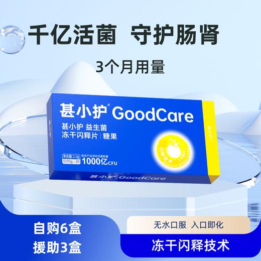 「甚小护」益生菌成人冻干闪释片糖果1000亿菌株活菌率高入口即化 商品图1