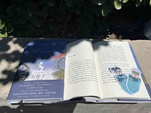 黑塞经典·在轮下：心灵的归宿  （德）赫尔曼·黑塞/著 文学 外国文学 世界文学 经典 名著 哲学 心理 黑塞 在轮下 自我探索  成长 小说 应试教育 青春 反抗权威 广西师范大学出版社 商品图7