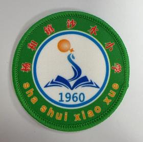 通版佛山市高明区杨和镇沙水小学包边校徽姓名贴章可缝烫现货发51