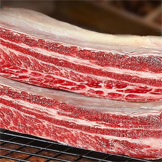 内蒙四肋牛排 | 草原散养 原切牛肋排 肥瘦相间肉质鲜嫩 奶香味十足 营养丰富味美无膻 商品图4
