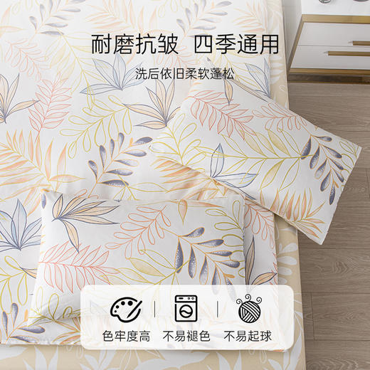 2025年夏季新款雅芳婷100%全棉床上四件套纯棉简约风被套床笠套件 商品图4