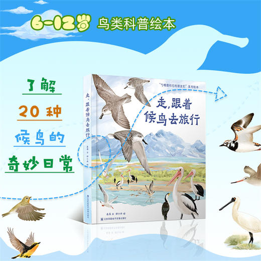 看小勺子的观鸟笔记  走跟着候鸟去旅行 鸟类科普绘本 3-6 幼儿园亲子读物 儿童绘本 将科普知识融入候鸟迁途 商品图1