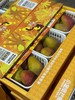 小金凤芒果  香甜多汁 商品缩略图2